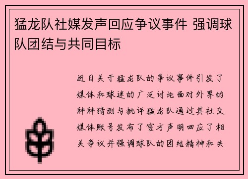 猛龙队社媒发声回应争议事件 强调球队团结与共同目标 猛龙队社媒发声回应争议事件 强调球队团结与共同目标